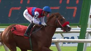 Vidéo de la course PMU CIRCULO DE PERIODISTAS DEPORTIVOS DEL URUGUAY