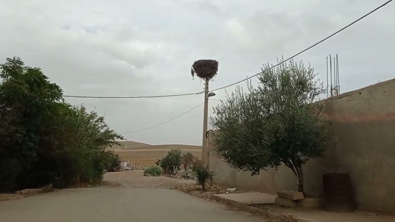 جولة في بلدية تامدة ولاية تيارت الجزئر ، حوس بلادك مع محمد محوز لا تنسو الاشتراك في القناة