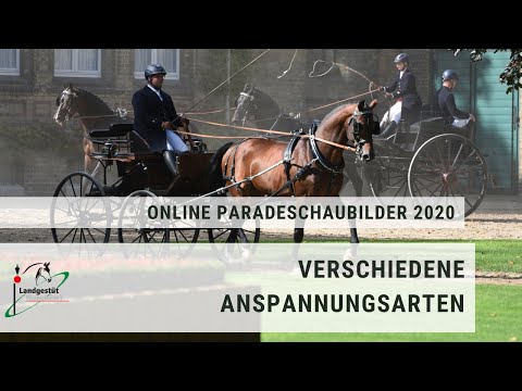 Thementag 4: Verschiedene Anspannungsarten