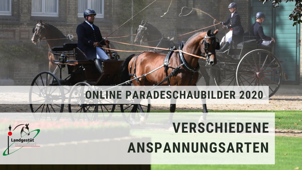 Thementag 4: Verschiedene Anspannungsarten