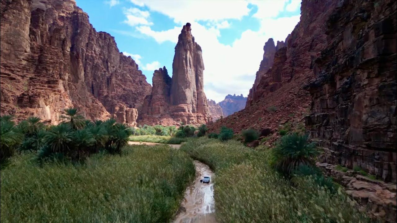 تبوك / الديسة