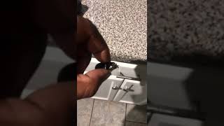 Famous Bug Hissing Profile