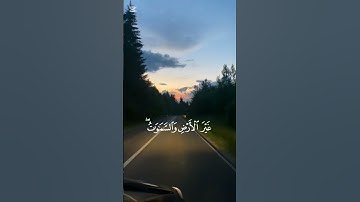 تلاوة هادئة جدا تريح الأعصاب #فيديو #روعات #اكسبلور #قرآن #قرآن_كريم #قران_كريم #quran