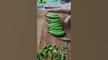 GI599750 mini rotary tillage and ridging all-in one tree 🌲 #shorts #viral #subscribe