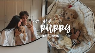 The first 72 hours with our new puppy...