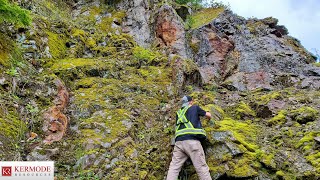Semi Massive Pyrite Showing Found On A Old Logging Road! (Lucky Strike Property) $KLM
