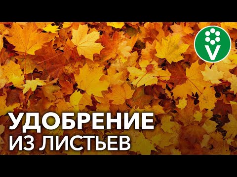 Что делать с