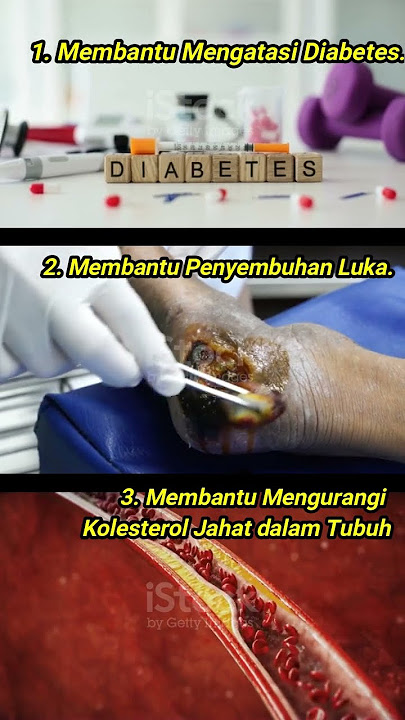 15 Khasiat Daun Manfaat Sirih untuk Kesehatan Tubuh dan Kecantikan #khasiatdaunsirih #daunsirih