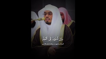 ليلة ٢٥ رمضان ١٤٤٦ سورة فصلت 🌷 | #قرآن #ياسر_الدوسري #تلاوة #اجر_لي_ولك 