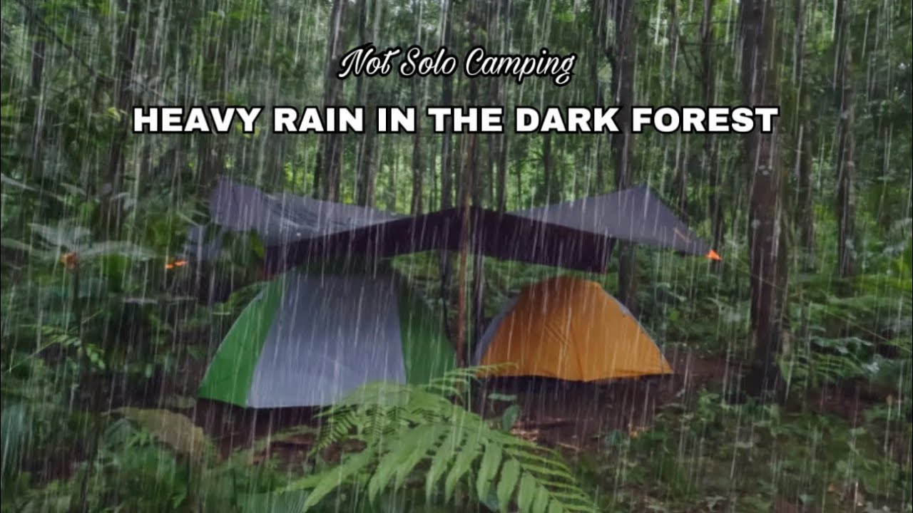 Not Solo Camping • Relaxing Camping In The Rain In The Dark Forest 