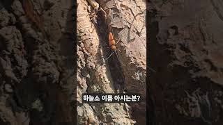 #하늘소 #에그박사 #정브르 #디스커버리  #내셔널지오그래픽