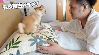 The action that the dog took to wake up the owner who sleeps 4 times and did not sleep is too cute