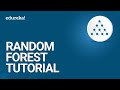 Random Forest Tutorial | Random Forest in R | Machine Learning | Data Science Training | Edureka