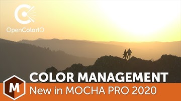 OpenColorIO - New in Mocha Pro 2020