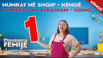 Mëso të Numërosh në Shqip | Mëso Numrat me Tinën | Këngë për Fëmijë në Shqip | Numroj Numrat |