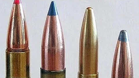 Top 5 European hunting cartridges ( that should be popular worldwide)