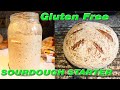 Gluten Free Sourdough Starter | 2 Ingredients Only!