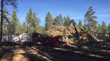 Logging Slash Disposal on Observatory Mesa