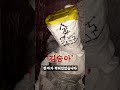 홍대에서 발견된 소름끼치는 저주인형 홍대에서 발견된 소름끼치는 저주인형