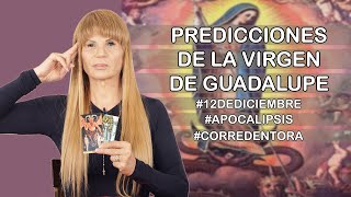 Predicciones de la Virgen de Guadalupe #12dediciembre #virgendeguadalupe #apocalypse screenshot 2