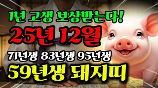 2025년 12월 돼지띠 1년 보상 대운! 1959년생 67년 만의 대복! (12월 운세, 재물/건강/관계)