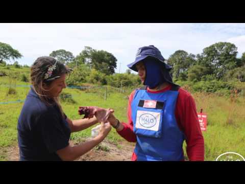 Video The HALO Trust Colombia