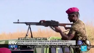 Who are the forces involved in Ethiopia's Tigray conflict?
