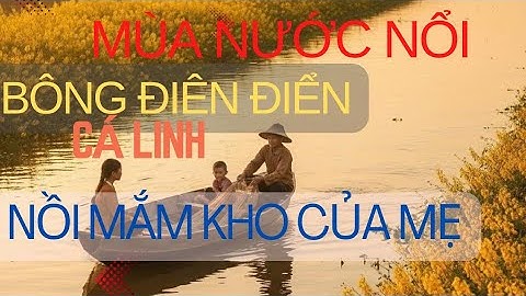 Mùa Nước Nổi Ở Quê Tôi: Bông Điên Điển, Cá Linh & Nồi Mắm Kho Của Mẹ #mientay#chualanhtamhon#mẹ 