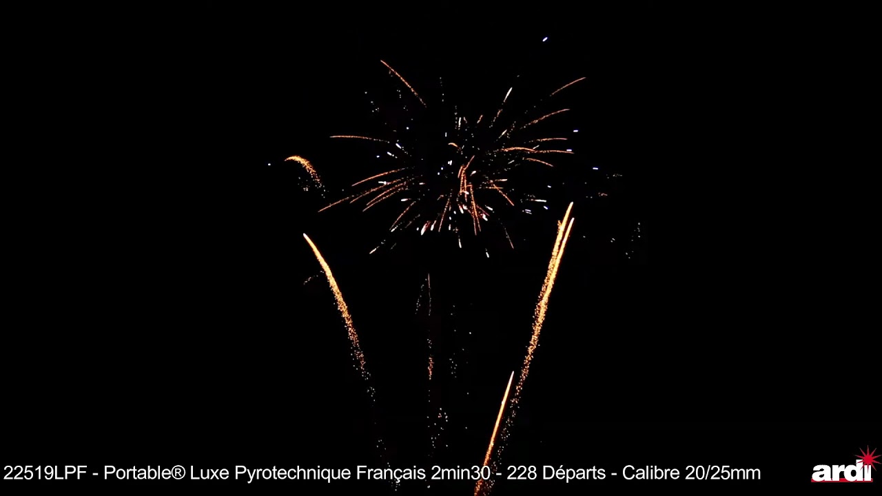 Feu d'artifice Champs-Élysées 2MIN30 portable Luxe