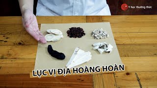 Giới thiệu bài thuốc Lục vị địa hoàng hoàn trị chứng mồ hôi trộm ở trẻ