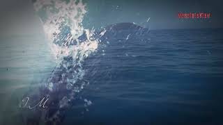 Βενέτικο Μεσσηνίας!