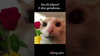 Ilie vlog 3, nu o sa crezi ce bmw are!!