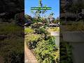 Dinosaur 🦕 Garden Pune #shorts #dinosaur #nature #garden #plants