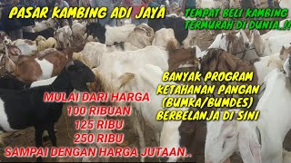 Goat Buyers Paradiseadi Jaya Goat Market Central Ldanung