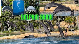 AMAZING AFFINITY DOLPHIN DANCE#SEAWORLD#THEME PARK#GOLD COAST#QUEENSLAND#AUSTRALIA