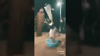 المداح ميسر الحيالي