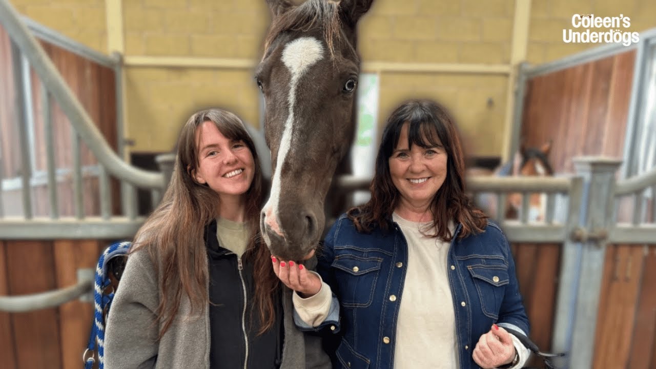 Познакомьтесь с этими великолепными спасёнными лошадьми