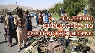 Талибы стреляют в людей! / Мир признает Талибан.