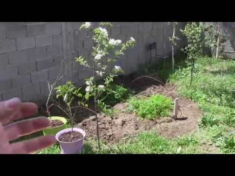 ქალაქსა და სოფელს შორის მტკიცე ხიდია გასადები...