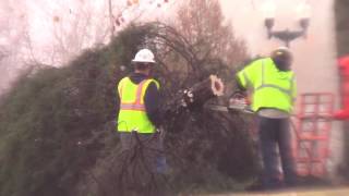 Setting Lawrenceburg's Christmas Tree 11/29/16