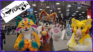 Midwest Furfest Furry Convention 2023! My Best MFF Ever!