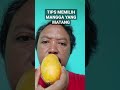 Cara memilih mangga yang matang