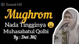 Nada Tingginya🥵 || Mughrom Muhasabatul Qolbi By : Dwi MQ || Sholawat #sholawat #viral #sholawatnabi