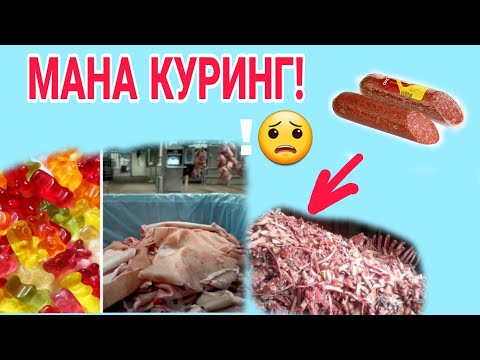Video: Rossiyaga banan qayerdan keladi? Rossiyaga banan qayerdan keladi?
