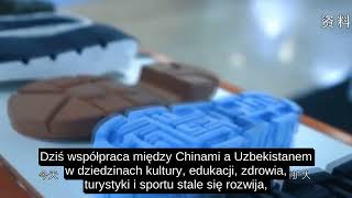 W020240912393551576264 00 05 27 861 00 10 07 574 PL