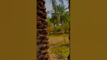 و ه ز ی إ ل ی ك ب ج ذ ع ٱلن خ ل ة س ور ة م ر ي م روائع الشيخ عبدالباسط عبدالصمد 