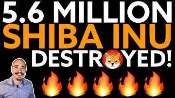 Is Shiba Inu destroying coins