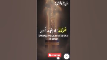 اكتب شيء تؤجر عليه 🤍 🤲🏻 #quran #اسلام #قرآن #راحة_نفسية #سورة_البقرة