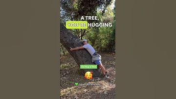 Who else hugs trees? 🌲 #tree #nature #treehugger