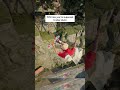 Can't stop skating the new park🔥 #gaming #skateboarding #skate #fyp #parkour #viral #shorts